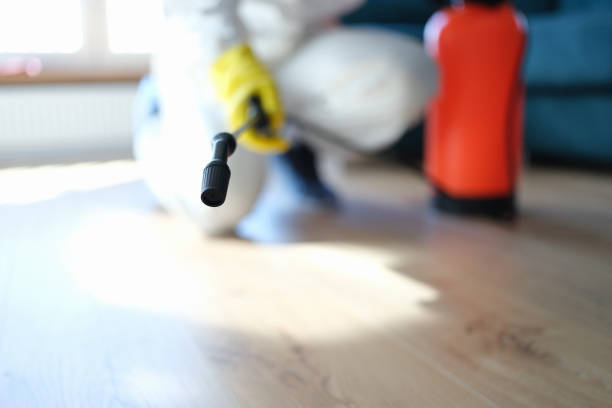 Best Comprehensive Air Testing for Mold Contaminants  in Five Points, FL