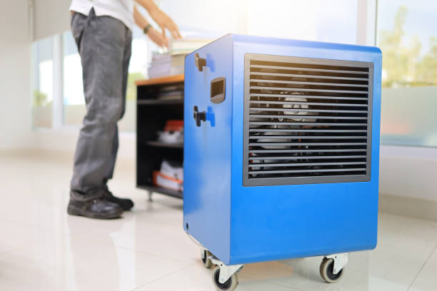 Best Industrial Mold Remediation  in Five Points, FL