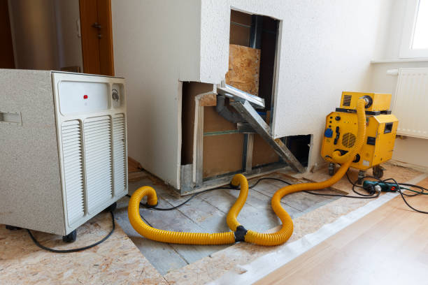 Best Crawl Space Mold Remediation  in Five Points, FL