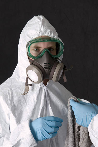 Best Environmental Consulting for Mold Prevention  in Five Points, FL
